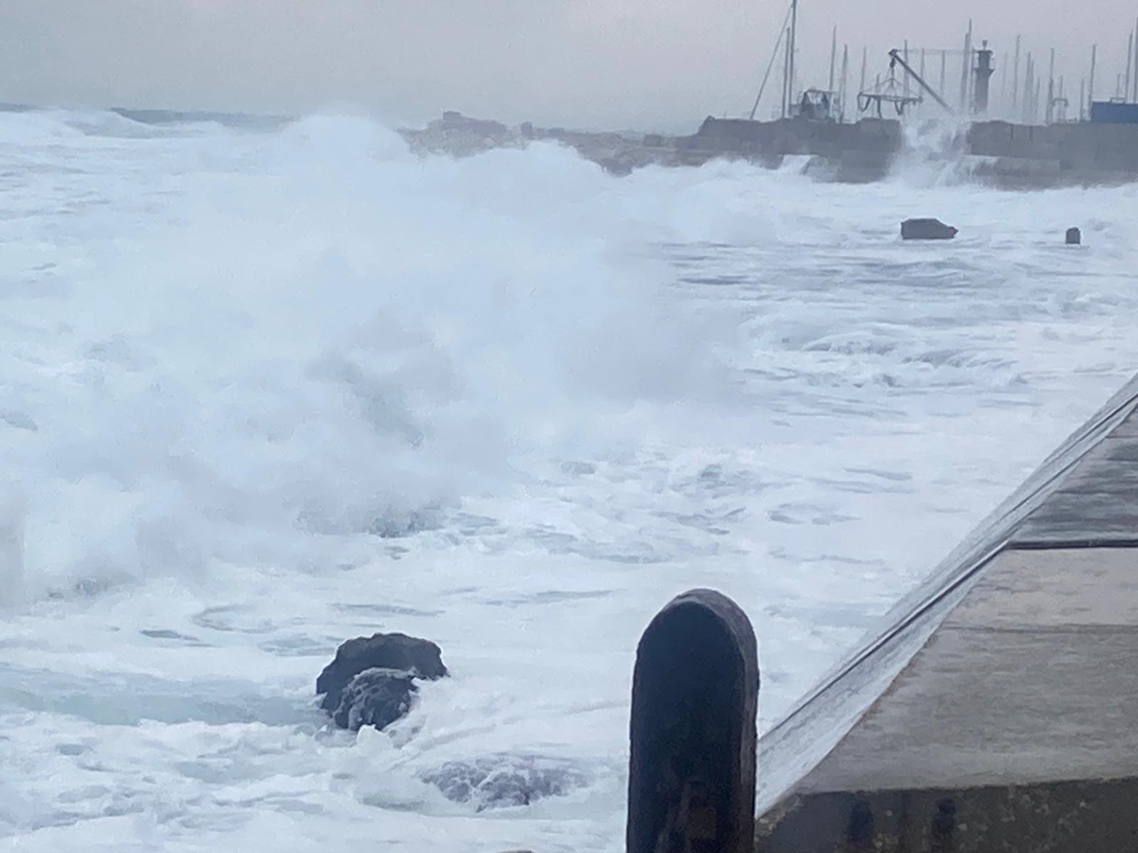 WhatsApp Image 2021-12-20 at 1.58.39 PM (1).jpeg